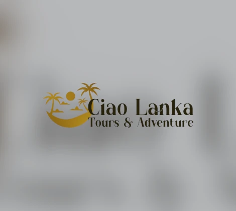 XynoSync Ciao Lanka Tours