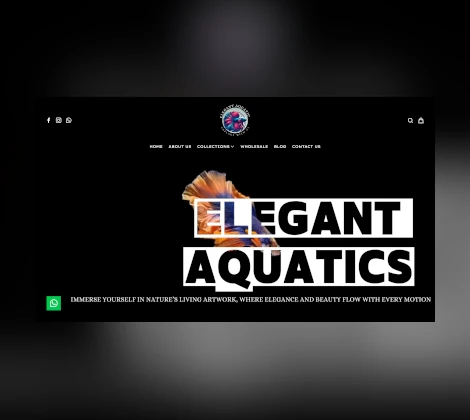 XynoSync Elegant Aquatics